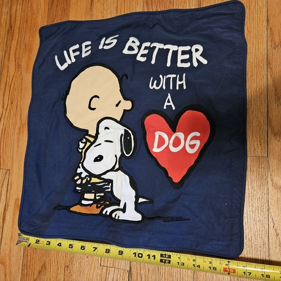 Pottery Barn Teen PEANUTS Pillow Sham Cases Pair (2) - Picture 12 of 15